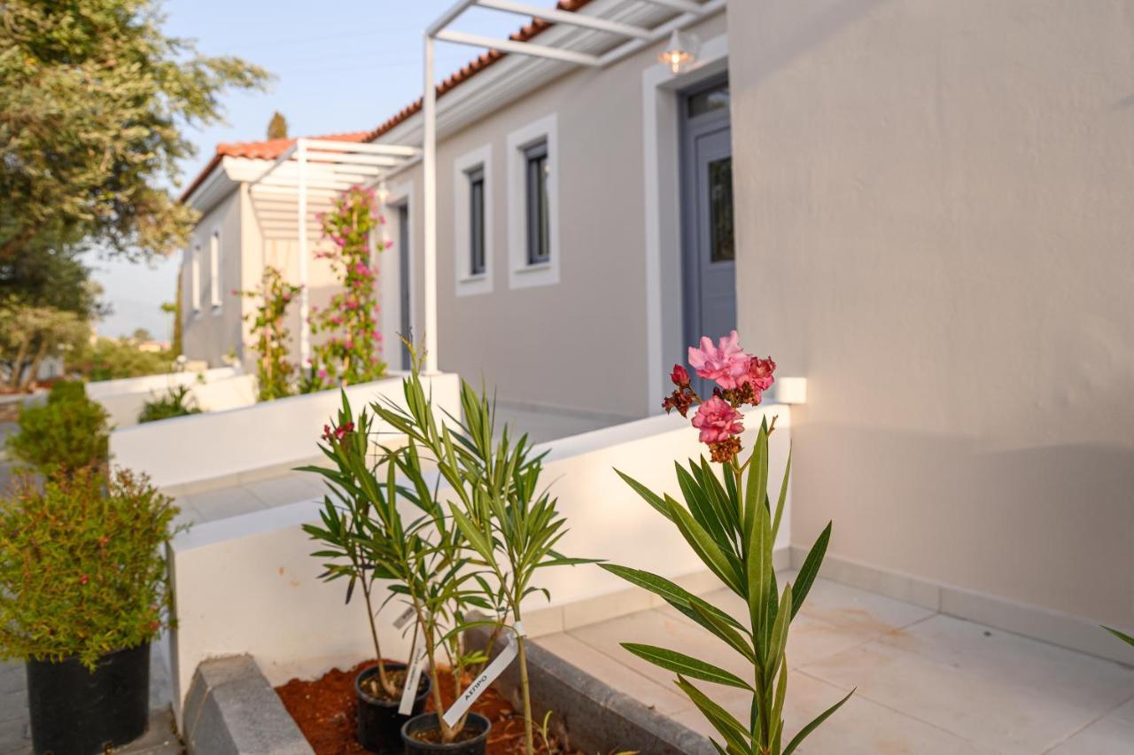 Dionisos Suites Lixouri Eksteriør billede